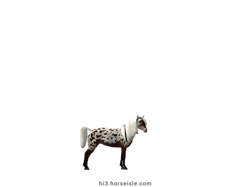American Miniature Horse Linebacked Dark Brown Blanket Coat